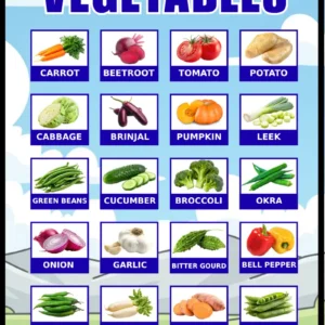 20 Vegetables educational poster for kids – colorful visual chart showing real photos of 20 vegetables including carrot, beetroot, tomato, potato, cabbage, brinjal, pumpkin, leek, green beans, cucumber, broccoli, okra, onion, garlic, bitter gourd, bell pepper, green chilli, radish, sweet potato, and pea, by Kids Book Library