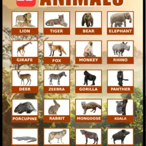 20 Jungle Animals educational poster for kids – colorful visual chart showing real photos of 20 wild animals including lion, tiger, bear, elephant, giraffe, fox, monkey, rhino, deer, zebra, gorilla, panther, porcupine, rabbit, mongoose, koala, crocodile, wolf, hyena, and wild boar, by Kids Book Library