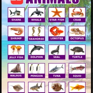 20 Sea Animals educational poster for kids – colorful visual chart showing real photos of 20 ocean creatures including shark, whale, starfish, crab, shrimp, seahorse, lobster, octopus, jellyfish, dolphin, seal, turtle, walrus, penguin, tuna, squid, stingray, catfish, puffer fish, and goldfish, by Kids Book Library